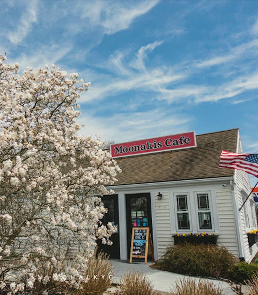 The white Moonakis Cafe building beneath a magnolia tree in full bloom